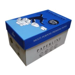 PAPERLINE ALL PRODUCT